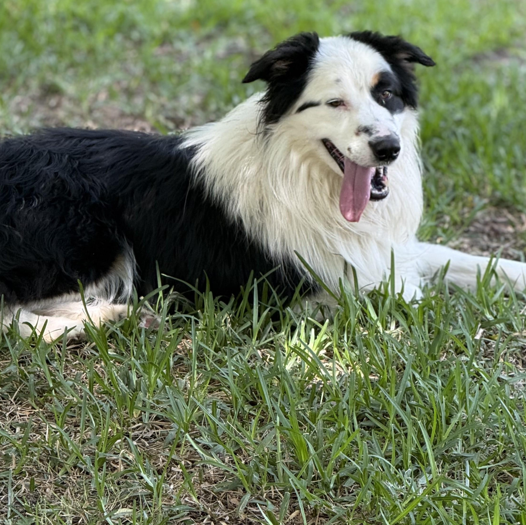Casper photo 1
