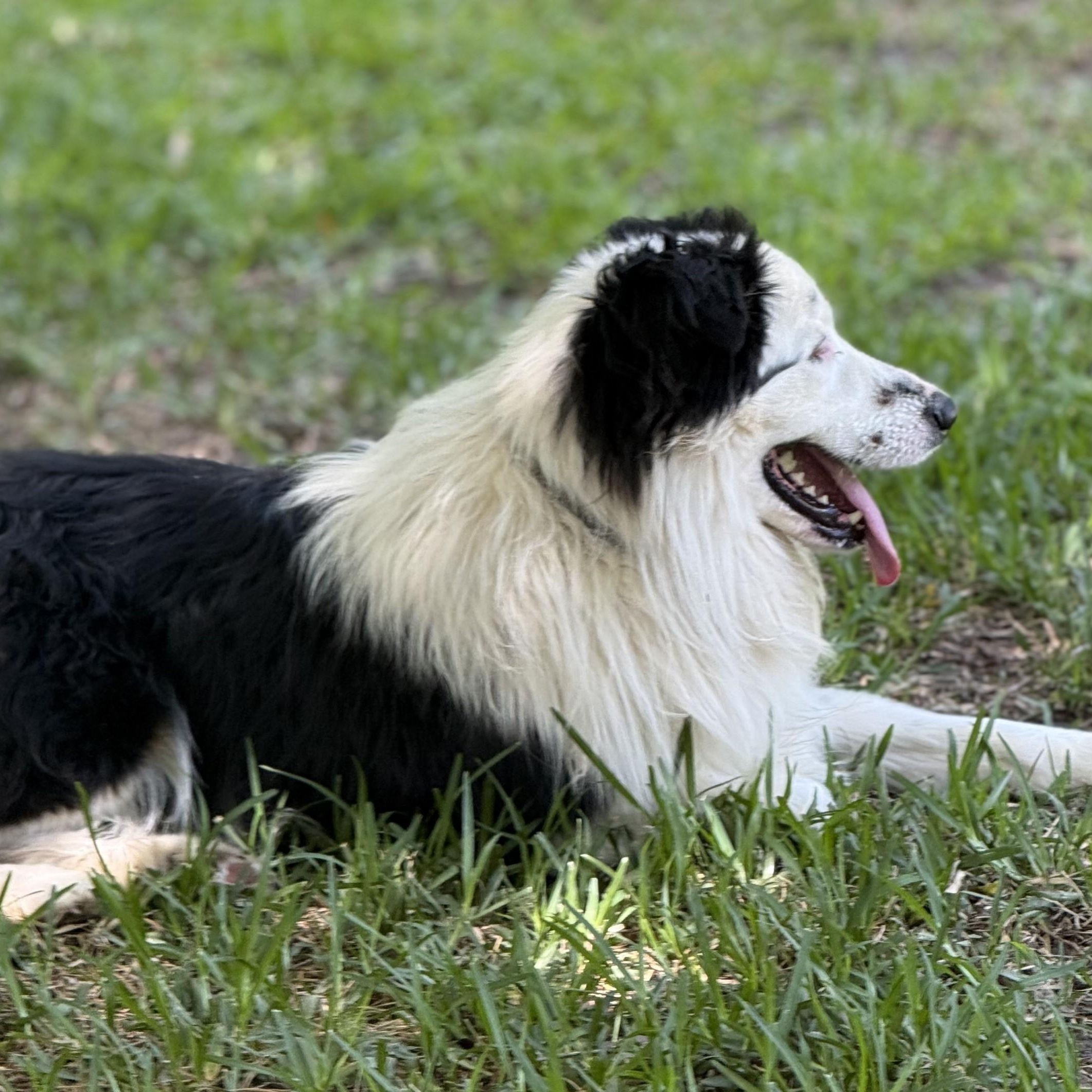 Casper photo 3