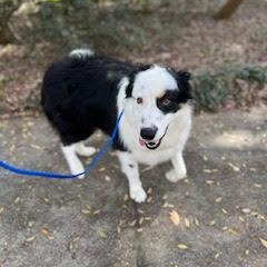 Casper photo 4