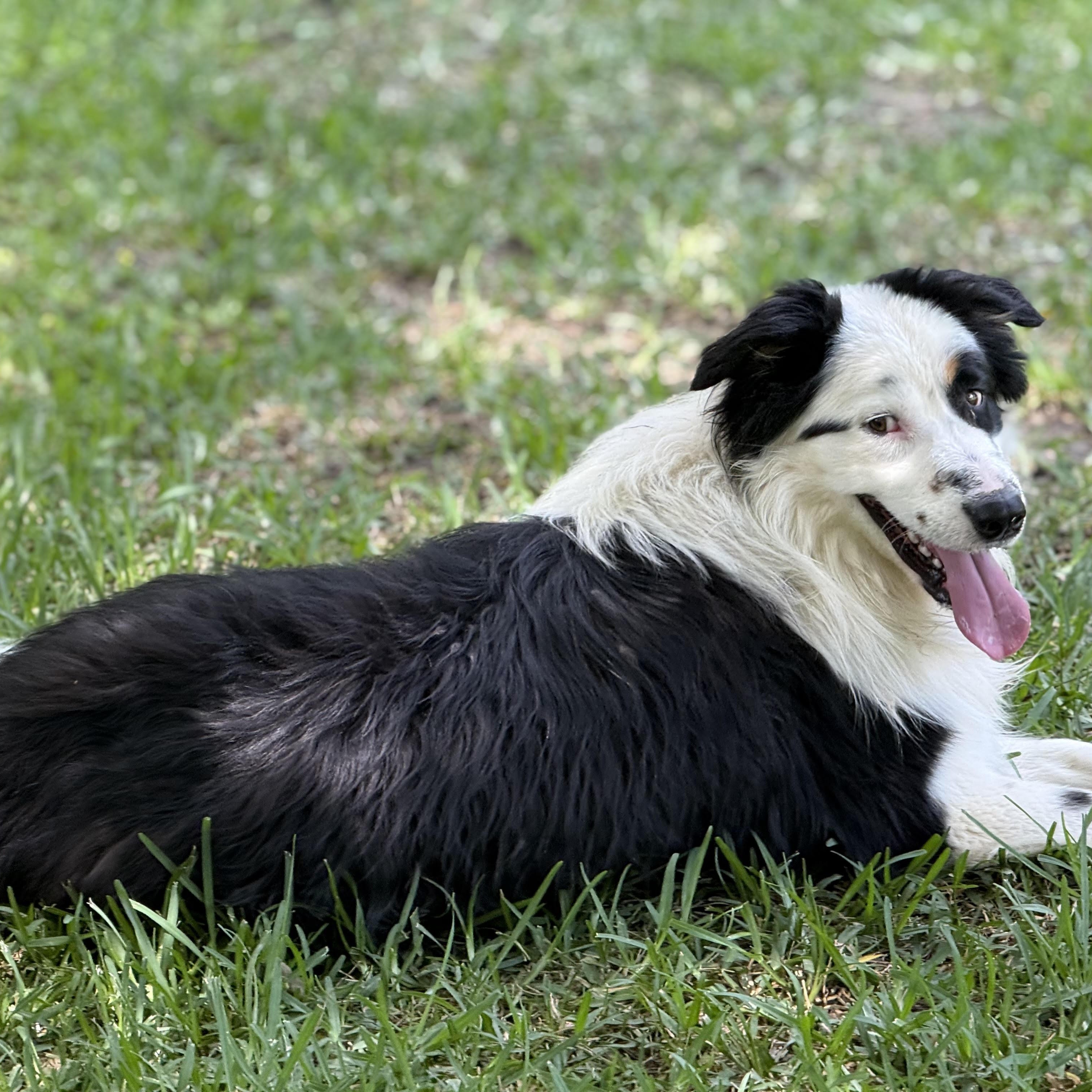 Casper photo 2