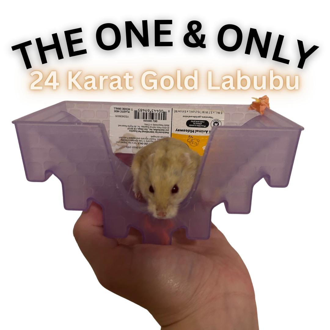 Enlarge 24 Karat Gold Labubu, a Adoptable mixed breed in Ripon, CA image 1/1