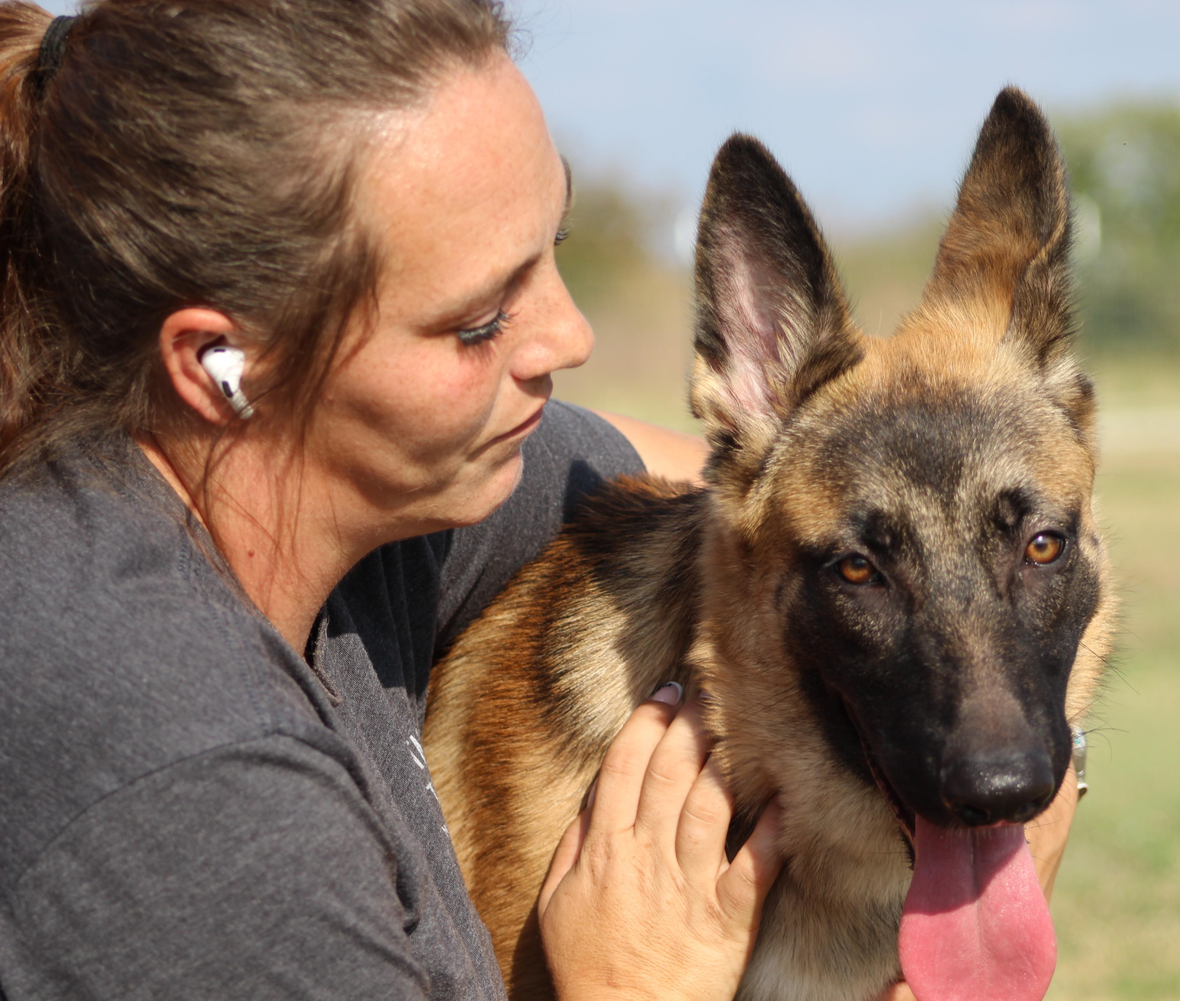 Enlarge Elbie, an adoptable mixed breed in Temple, TX image 4/6