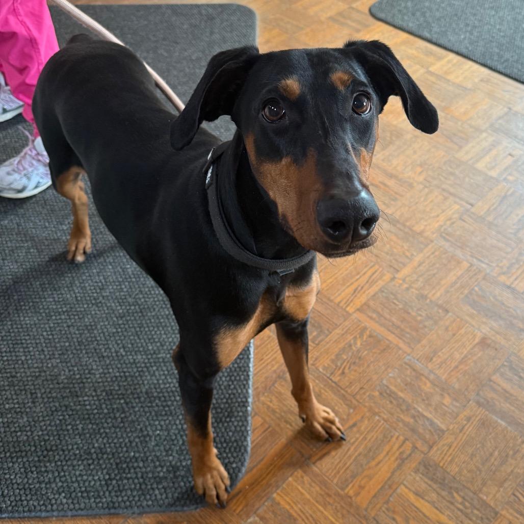 Delta — thumbnail 4