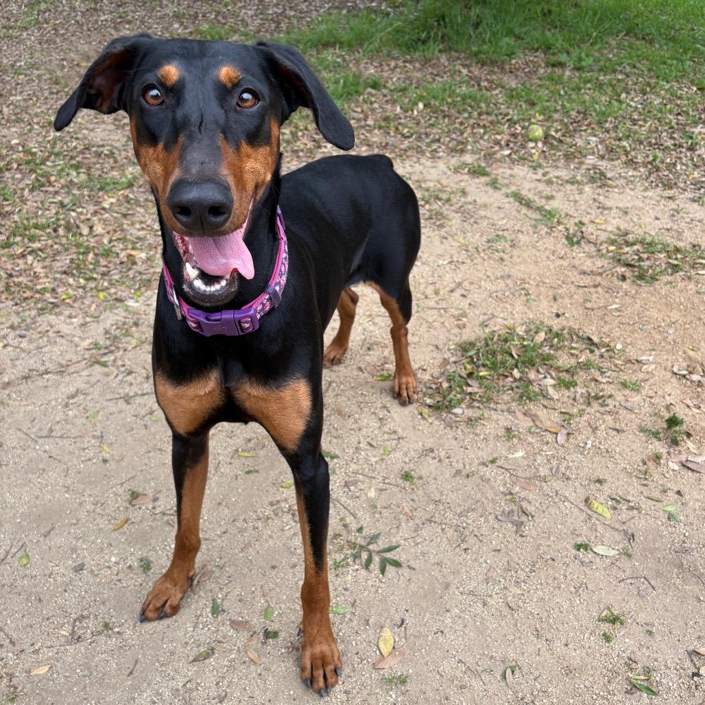 Delta — thumbnail 5