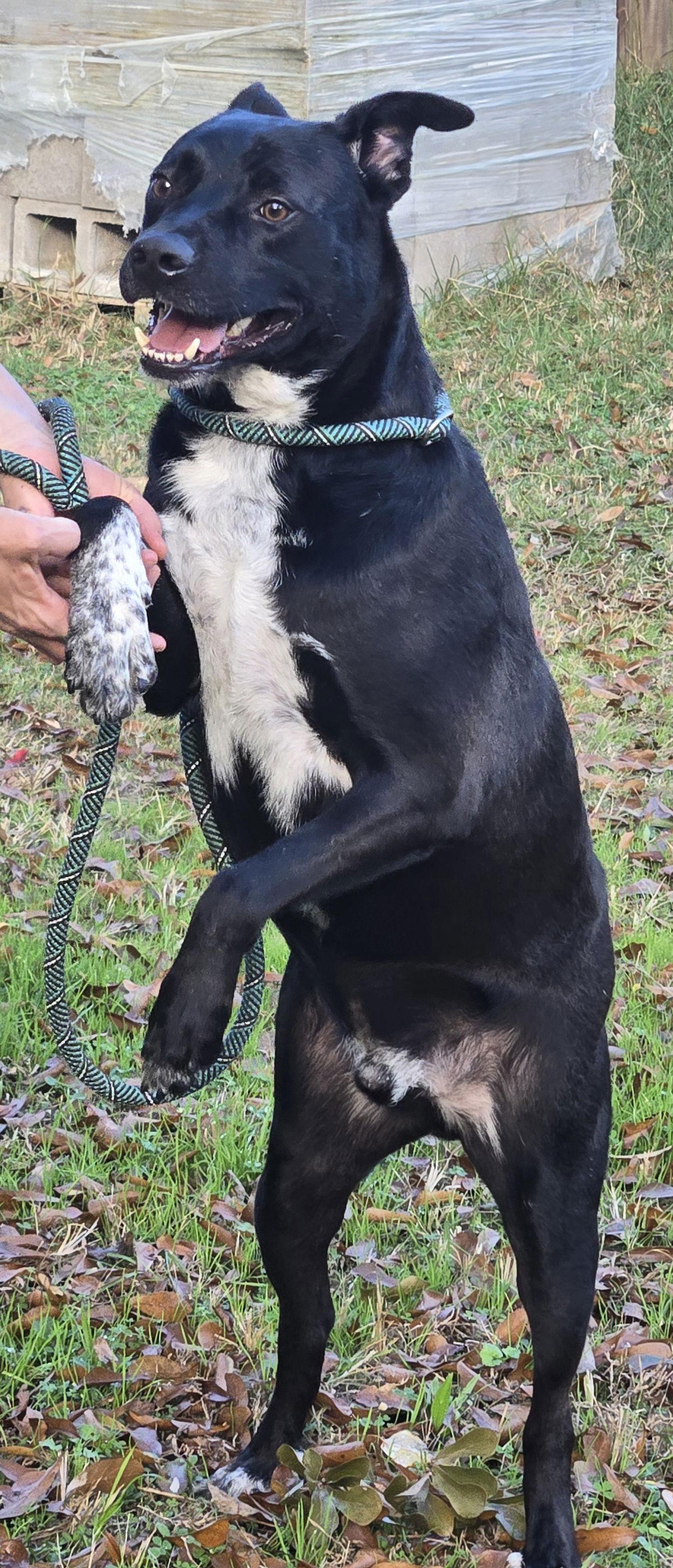 Malcolm — thumbnail 2