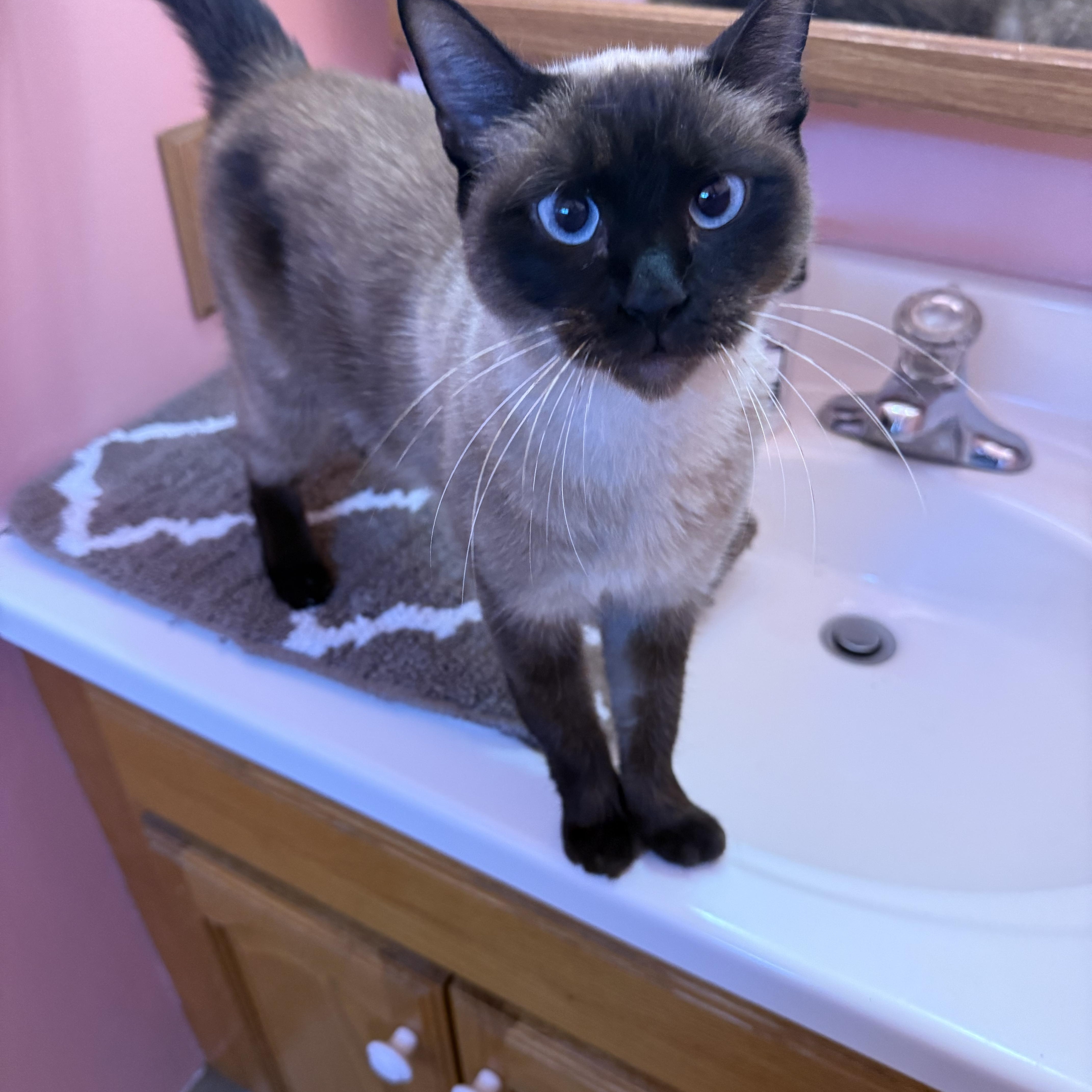 Nyx