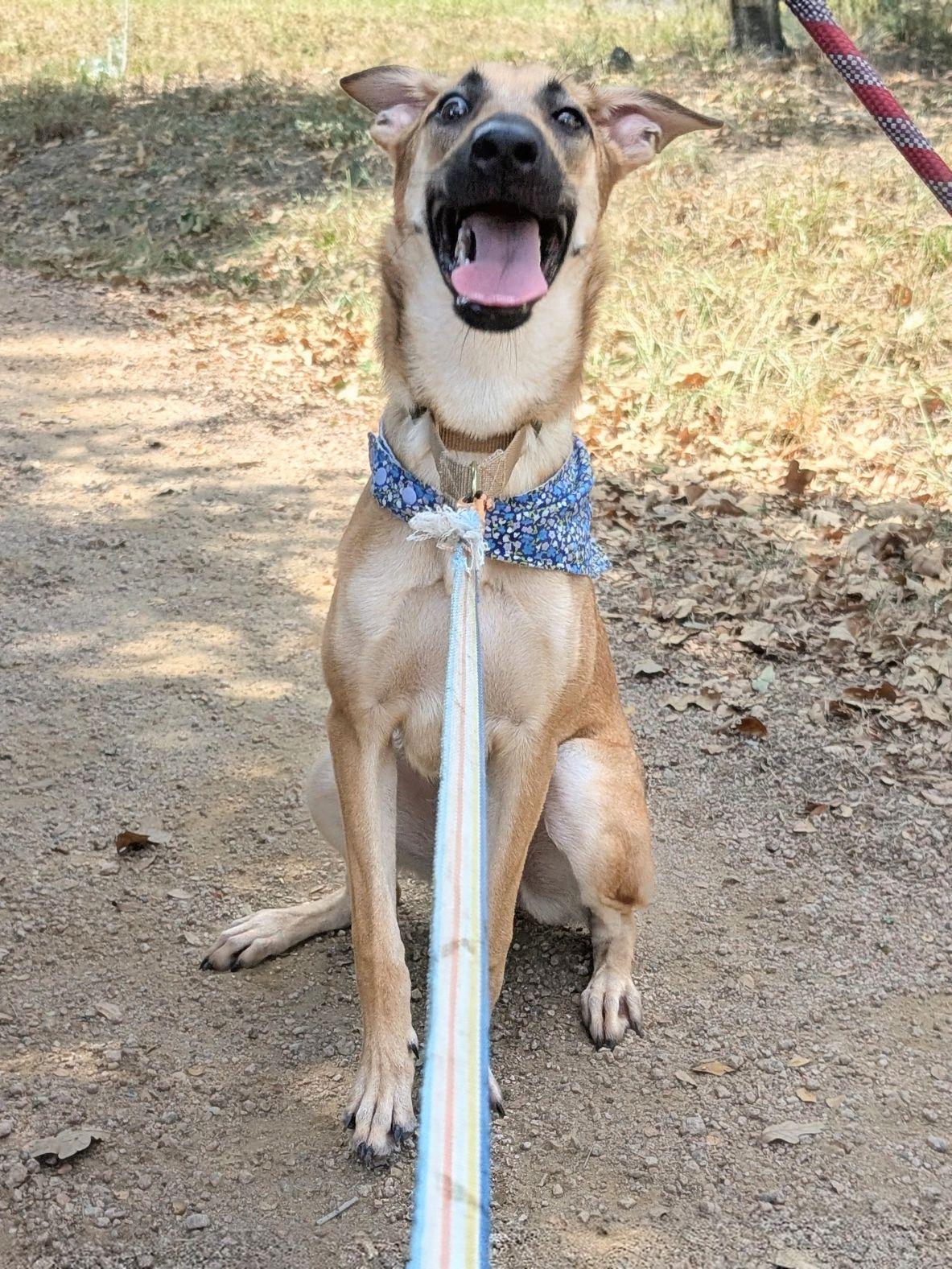 Princess thumbnail 2