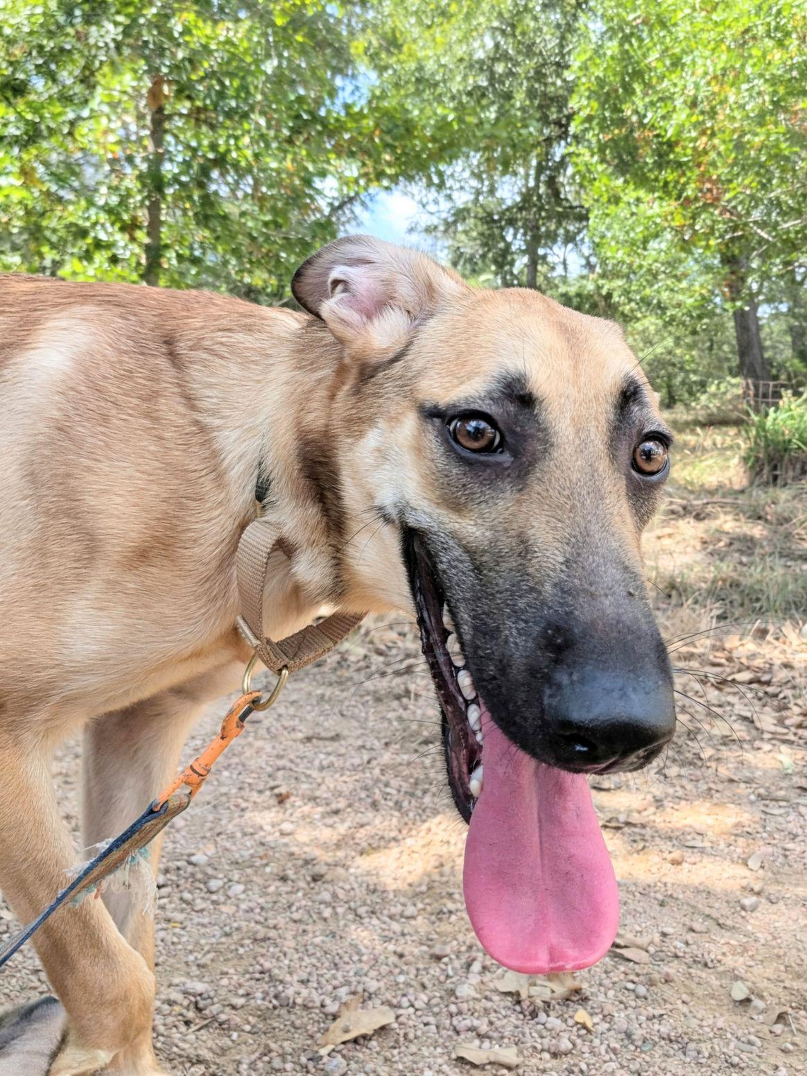 Princess thumbnail 3