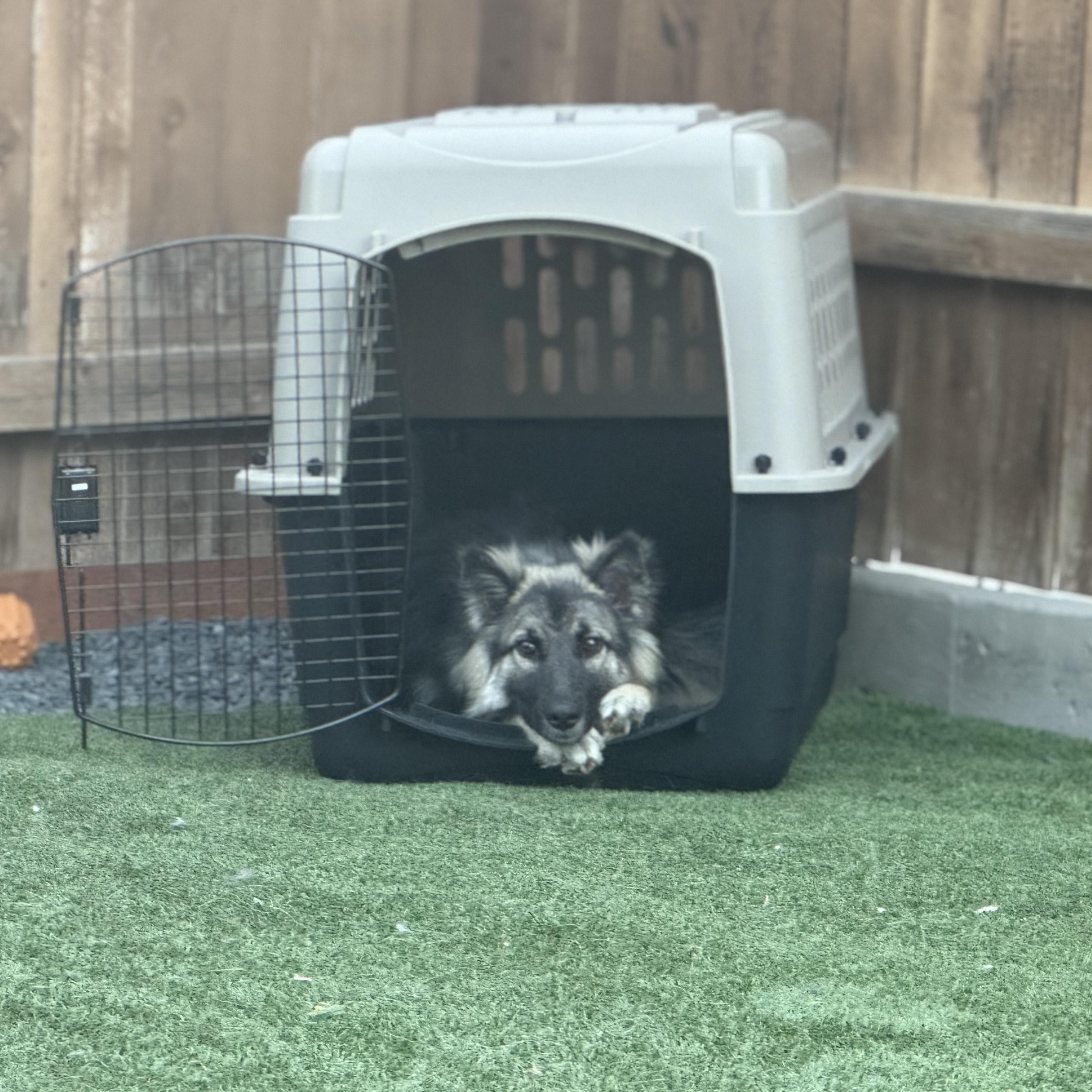 Shyla