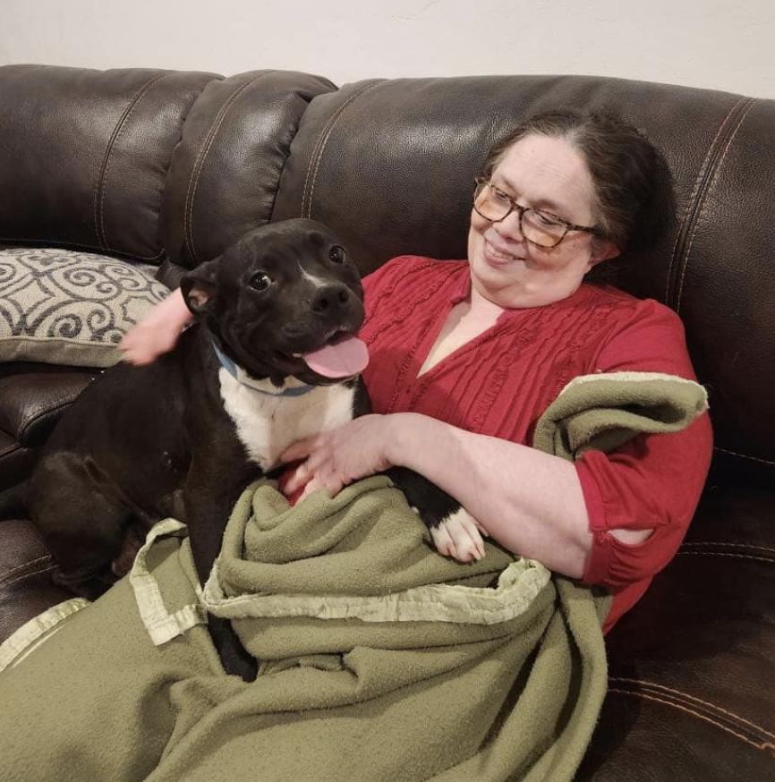 Enlarge Bia, a Adoptable mixed breed in San Francisco, CA image 3/4