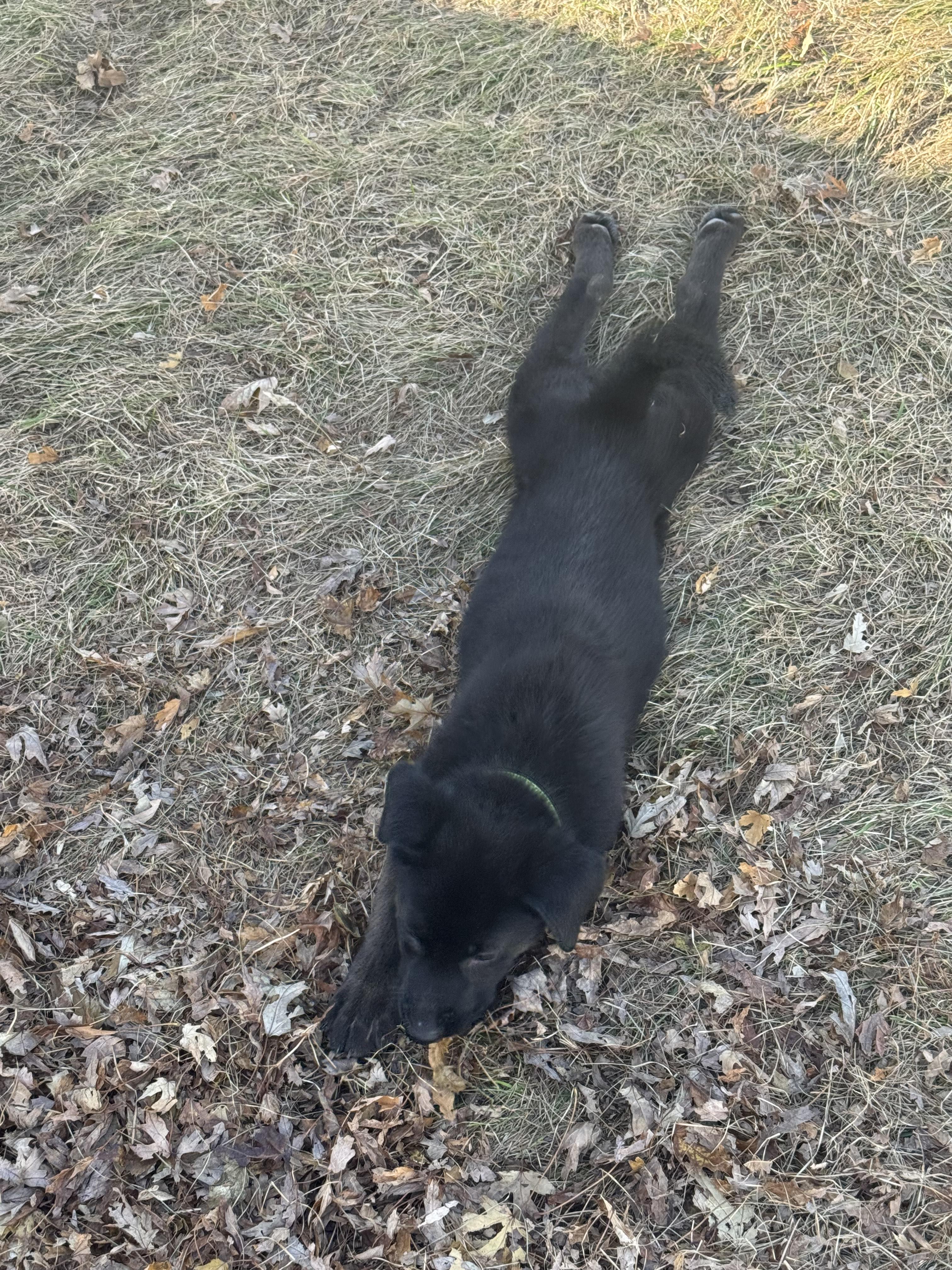 Zendaya — thumbnail 2