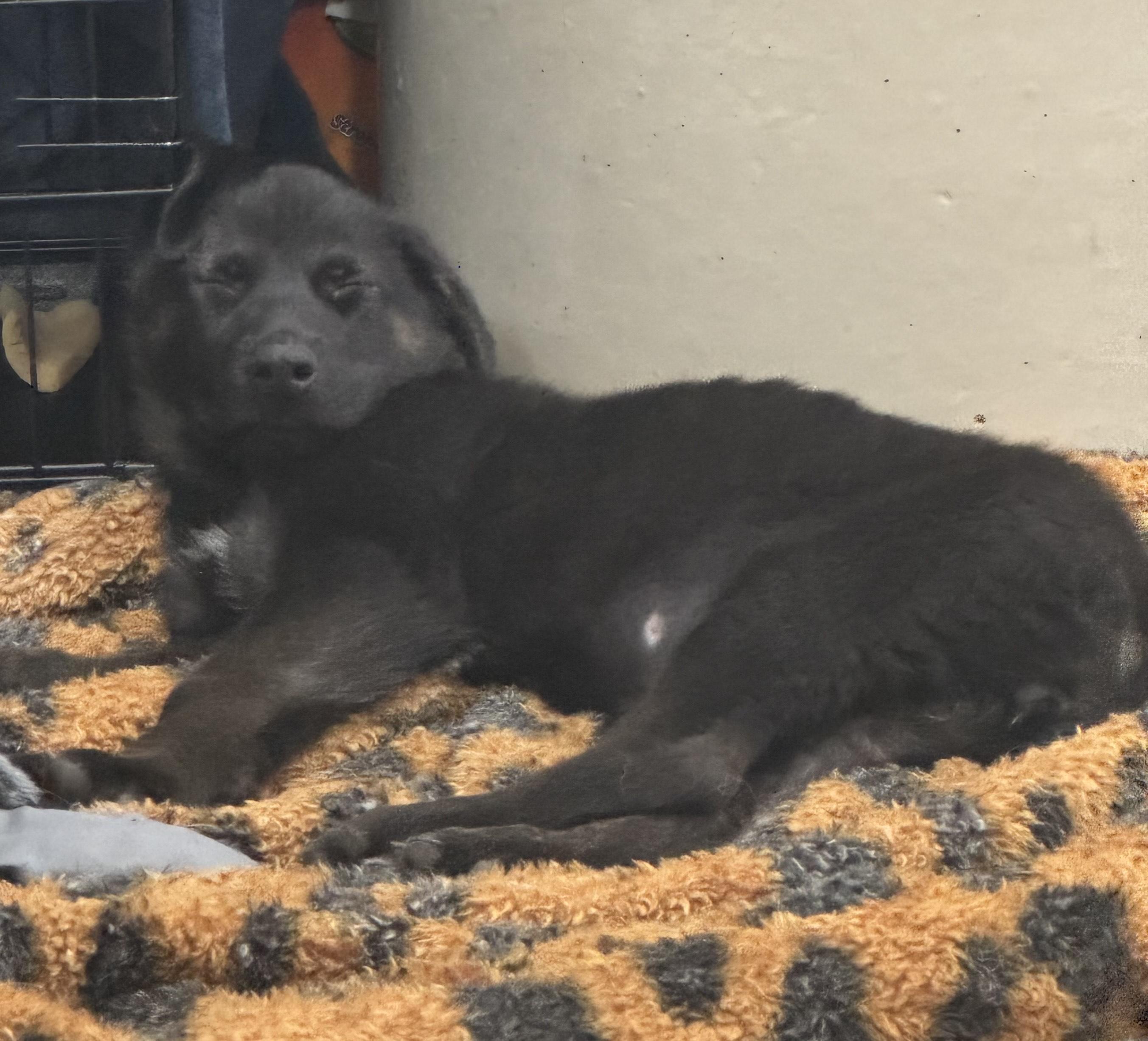 Zendaya — thumbnail 4