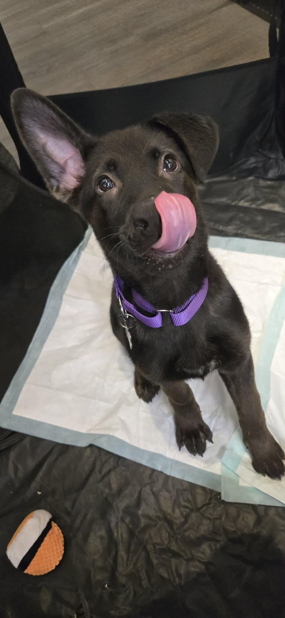 Zendaya — thumbnail 6