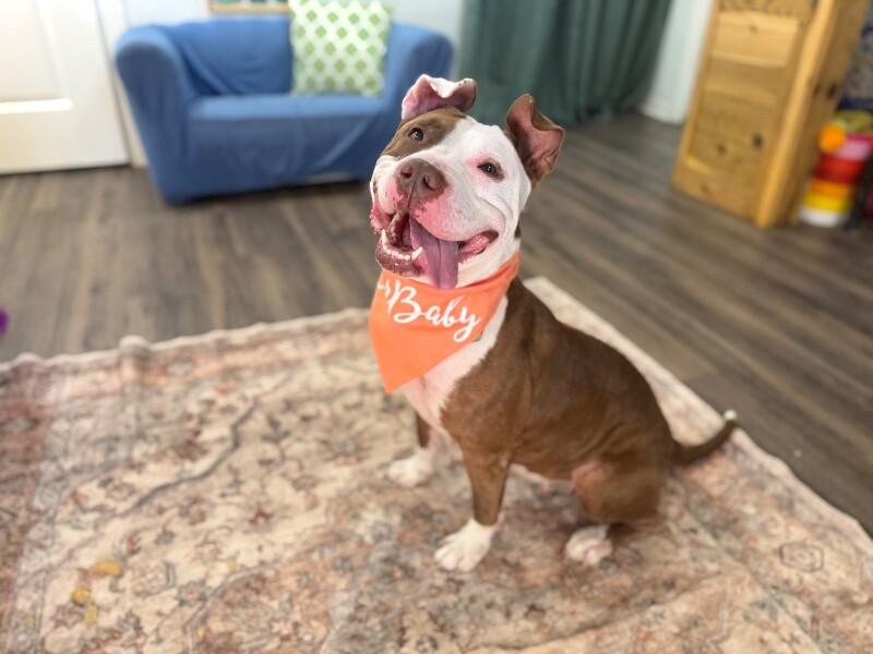 Pixie People Lover — thumbnail 2