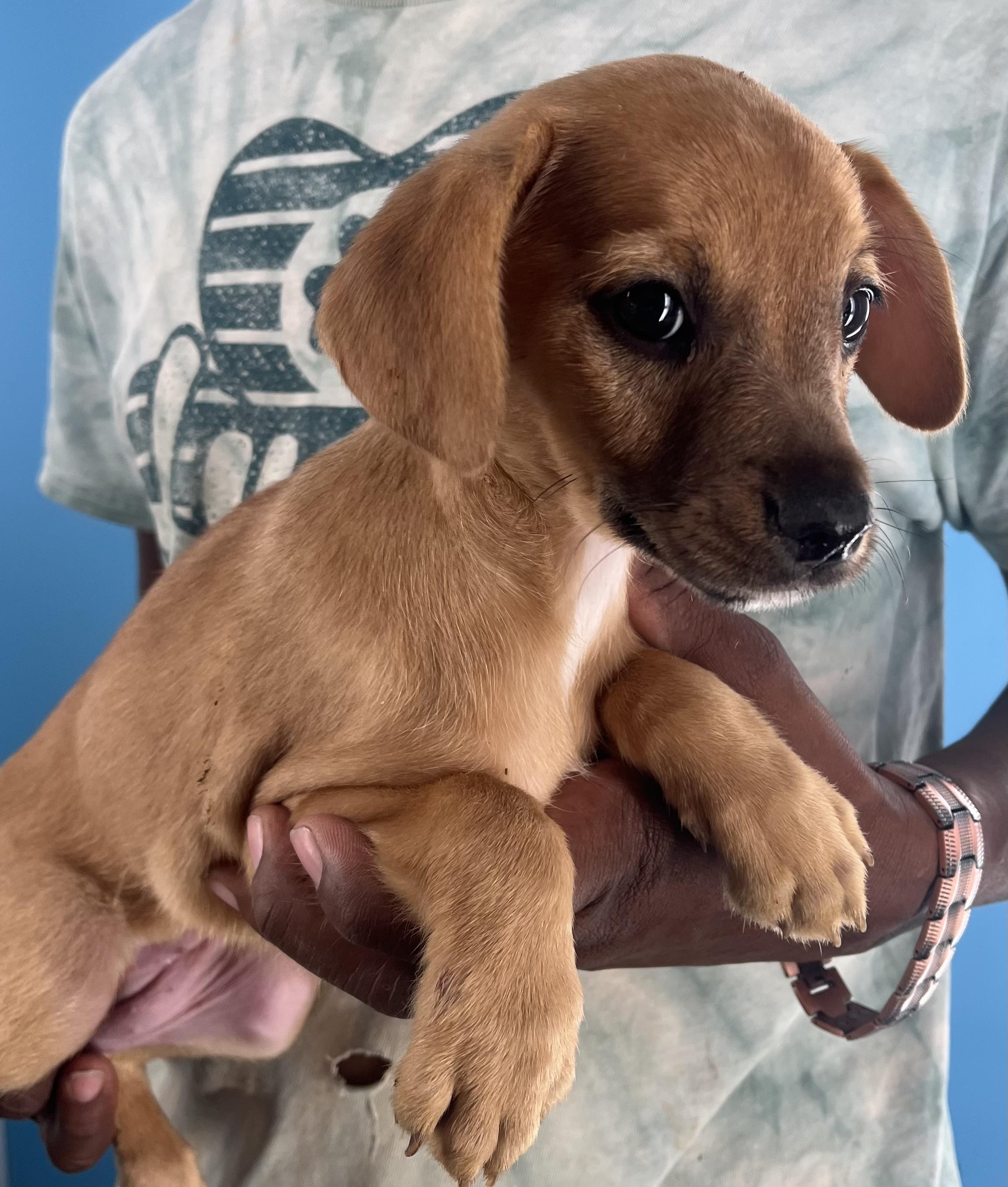 Sally  Local Oct thumbnail 5