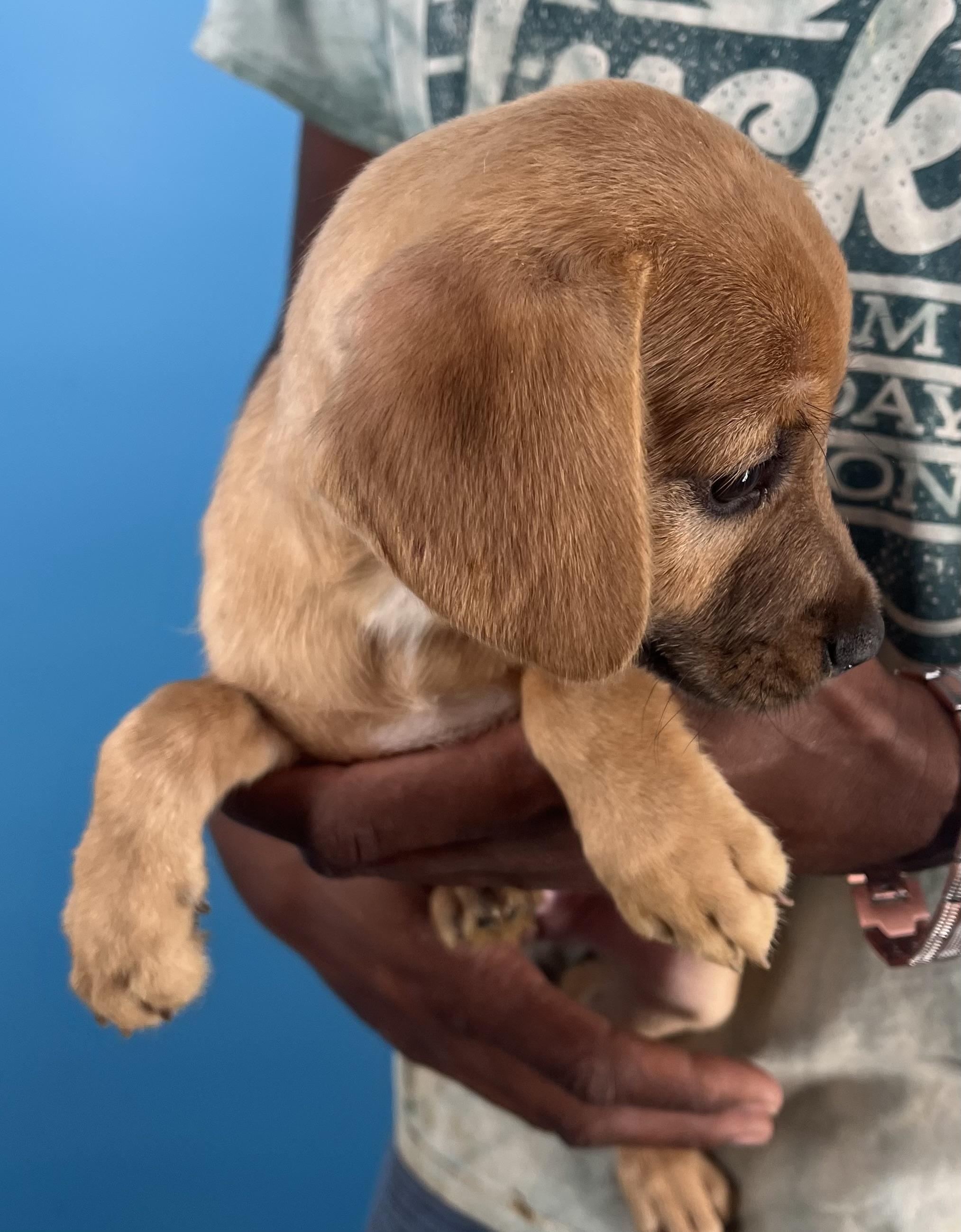 Sally  Local Oct thumbnail 4