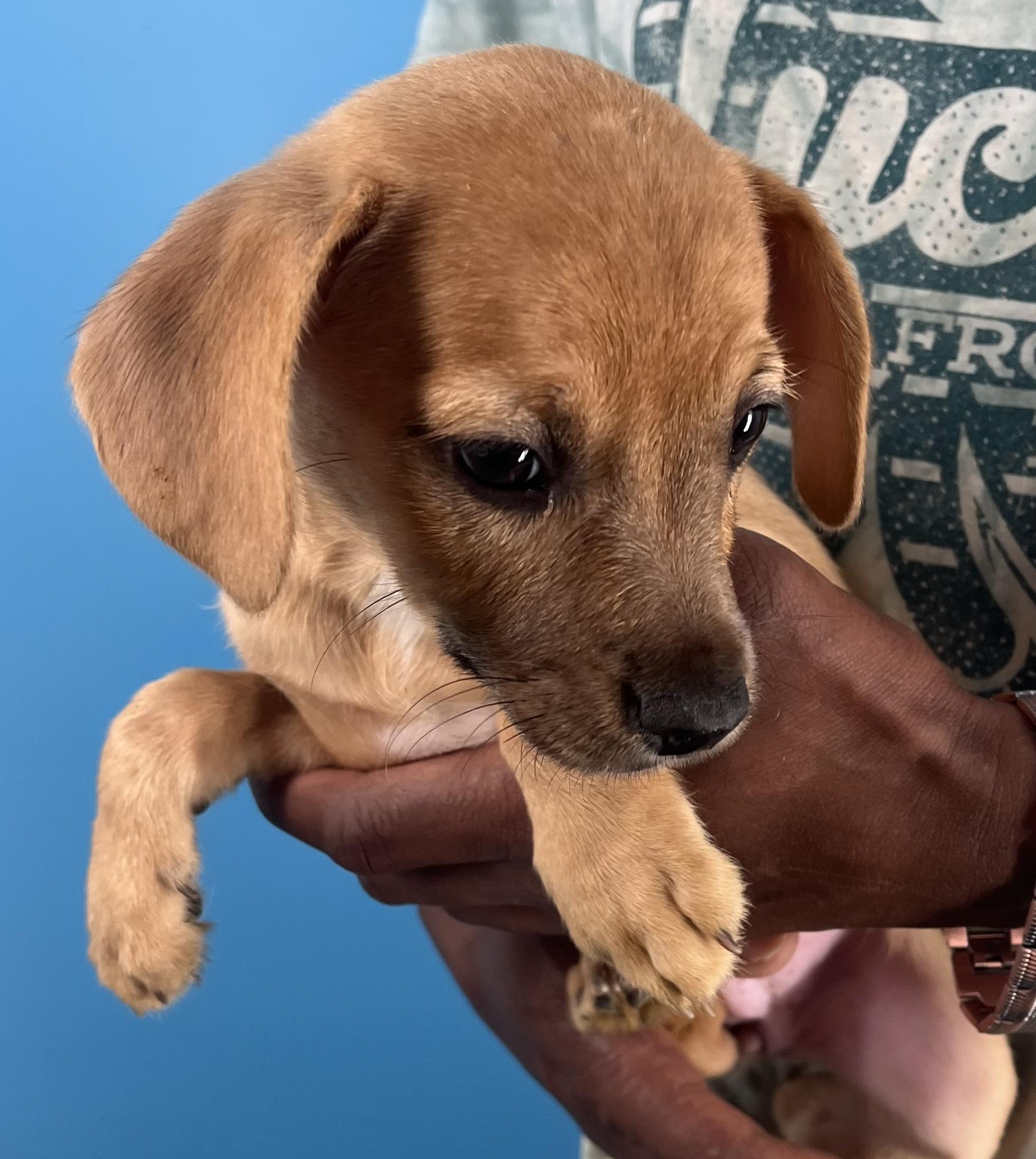 Sally  Local Oct thumbnail 3