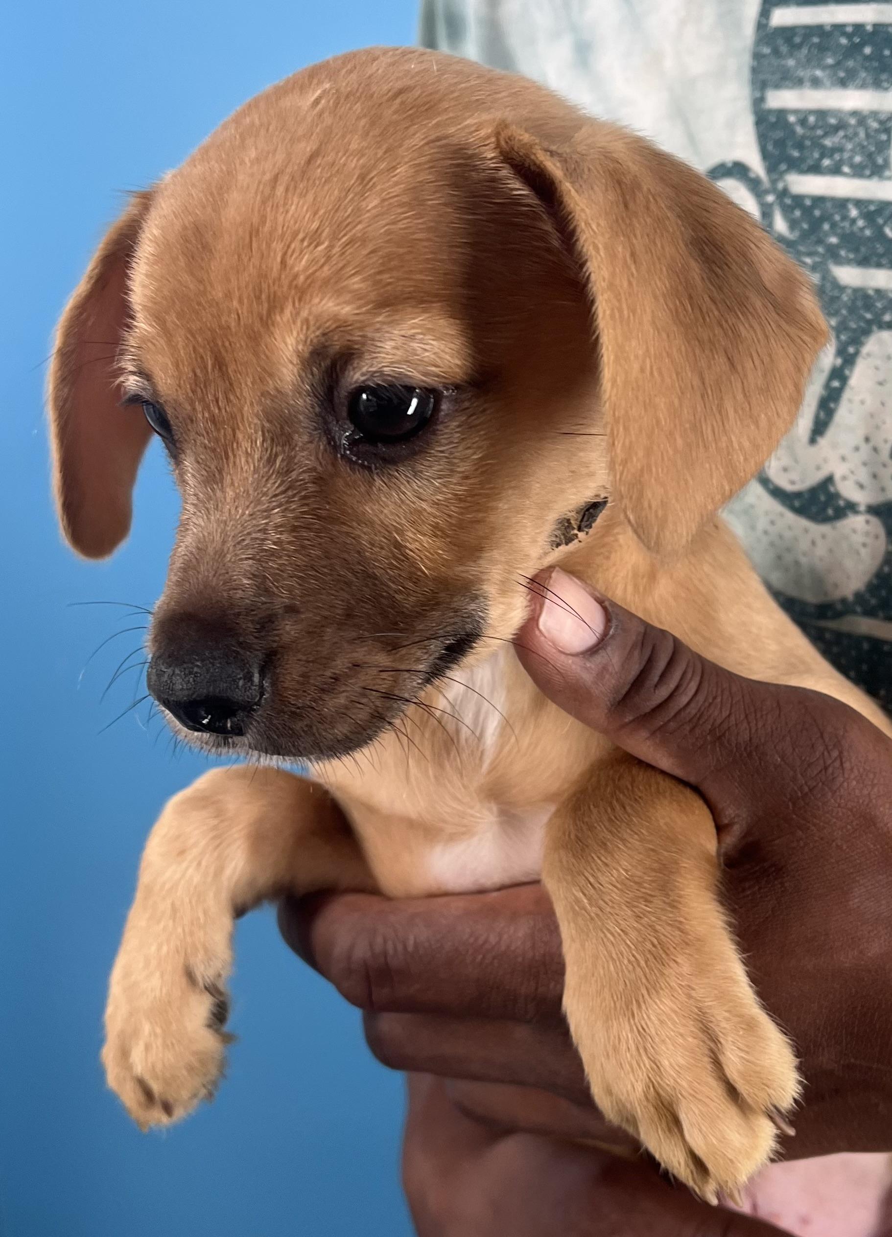 Sally  Local Oct thumbnail 6