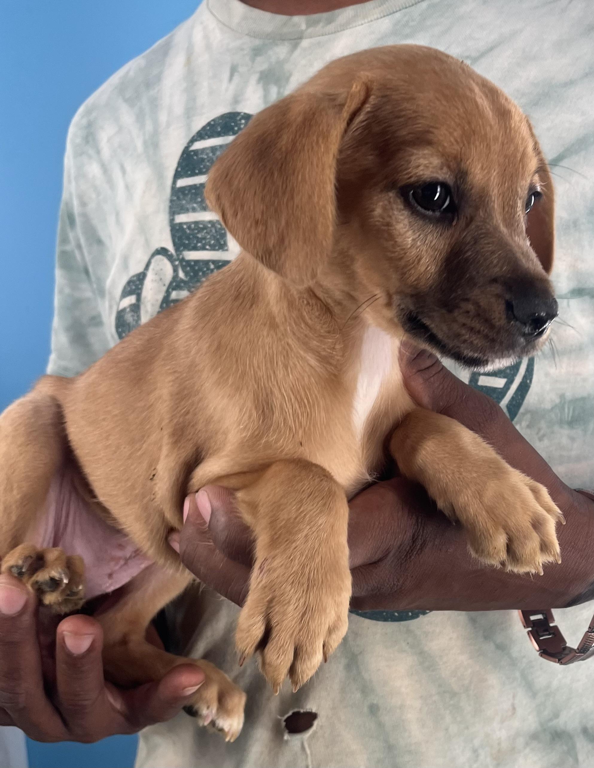 Sally  Local Oct thumbnail 2