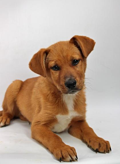 Steve — thumbnail 2