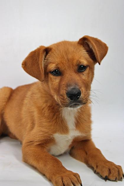 Steve — thumbnail 3