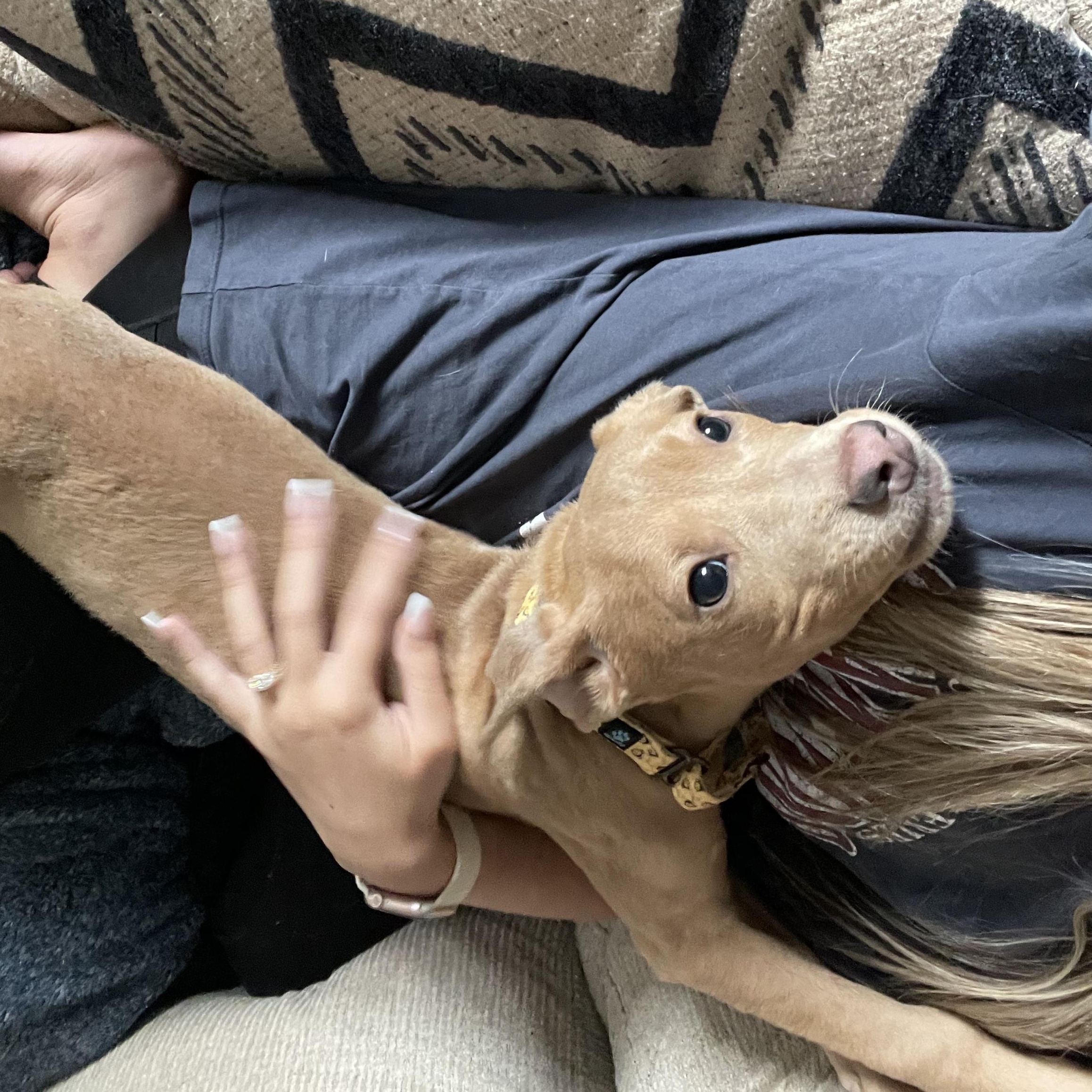 Hustle - Such a Good Baby!!!