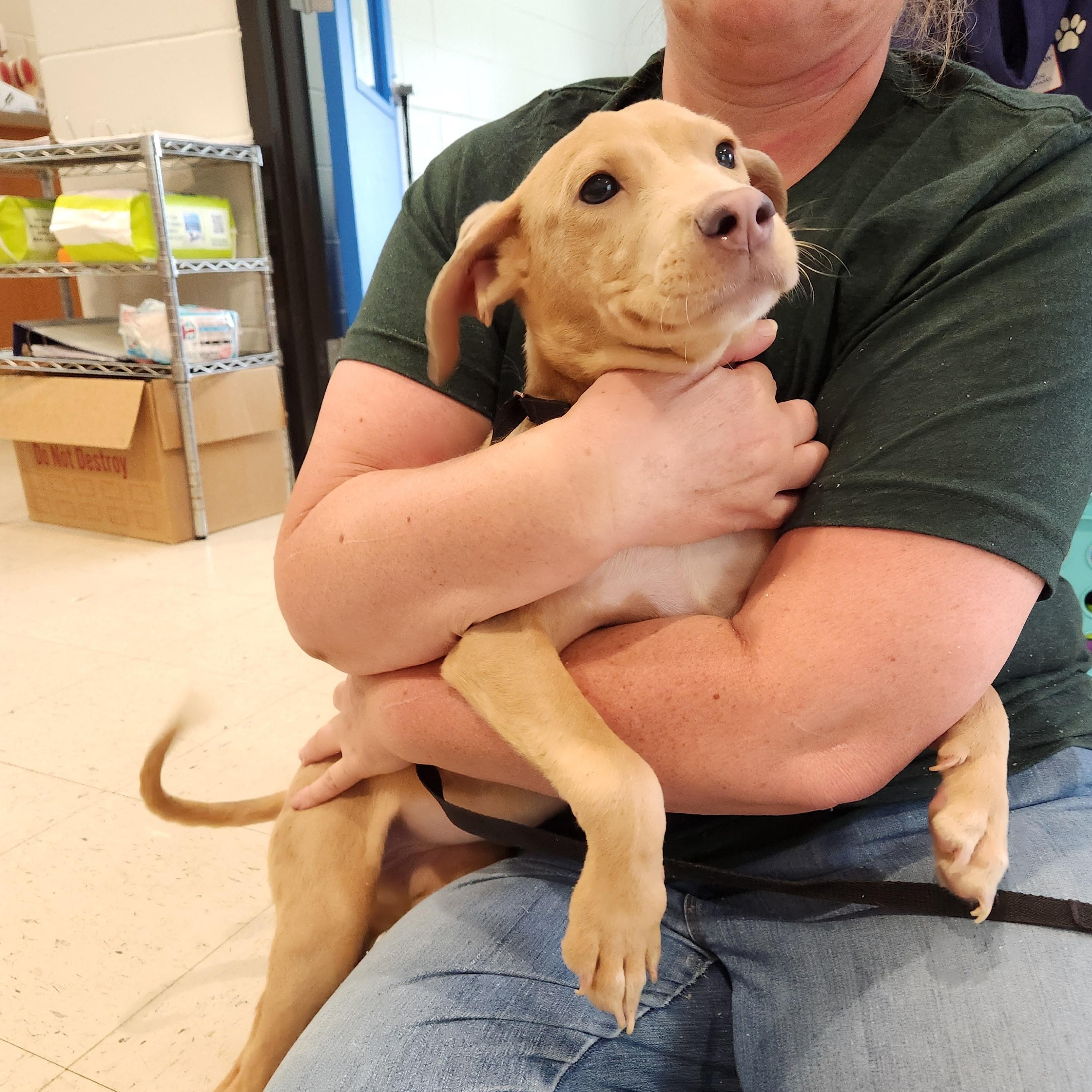 Hustle - Such a Good Baby!!!