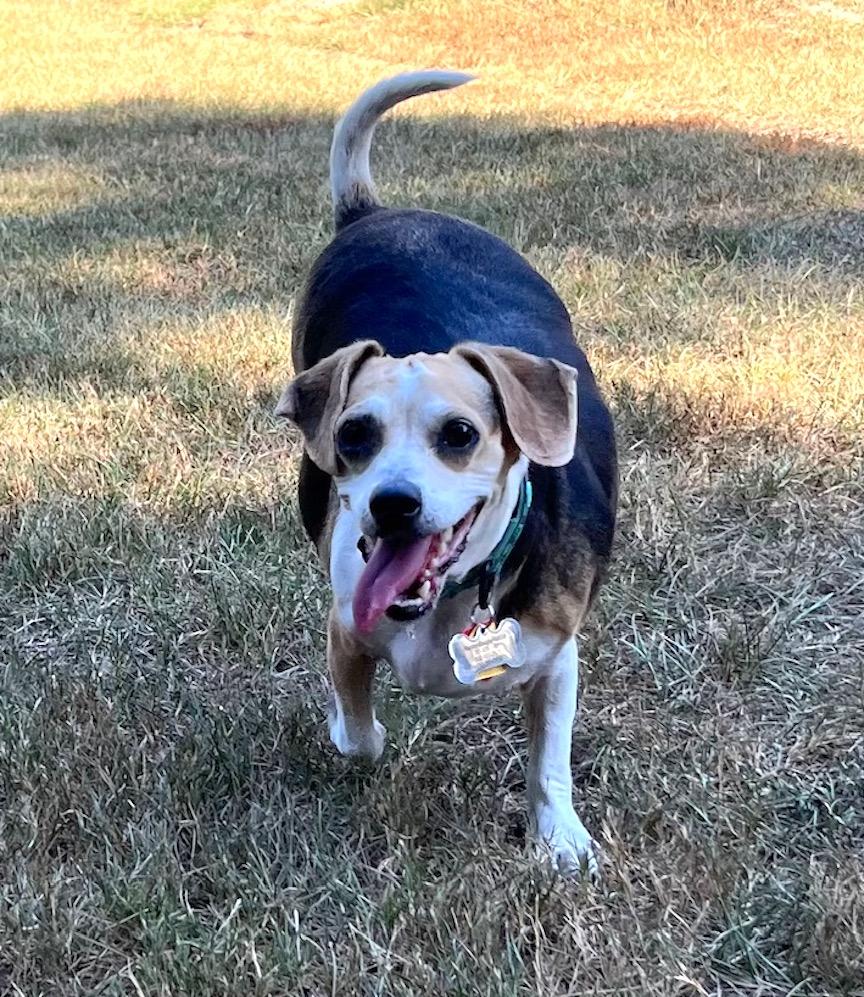 Annemarie — thumbnail 4