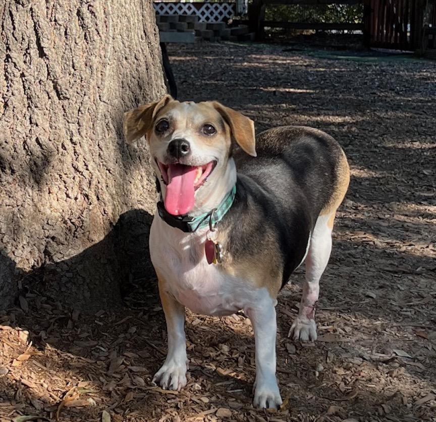 Annemarie — thumbnail 5