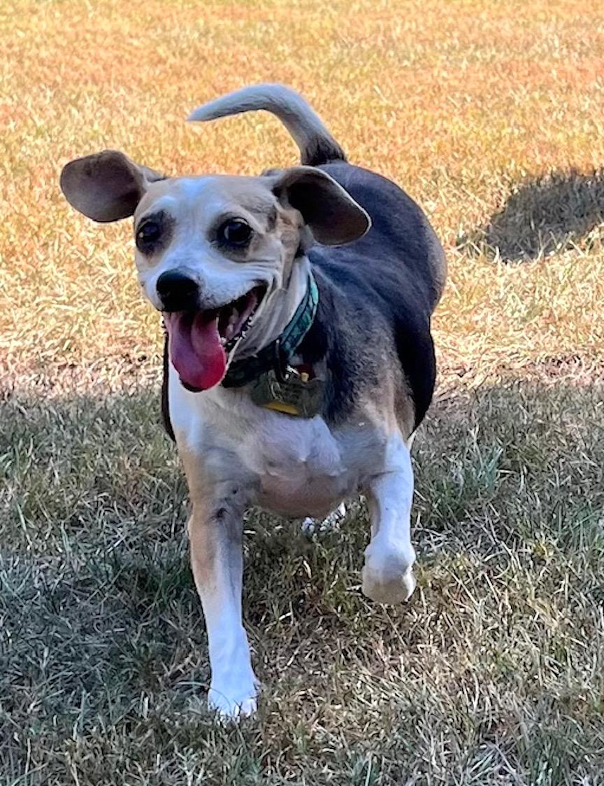 Annemarie — thumbnail 6