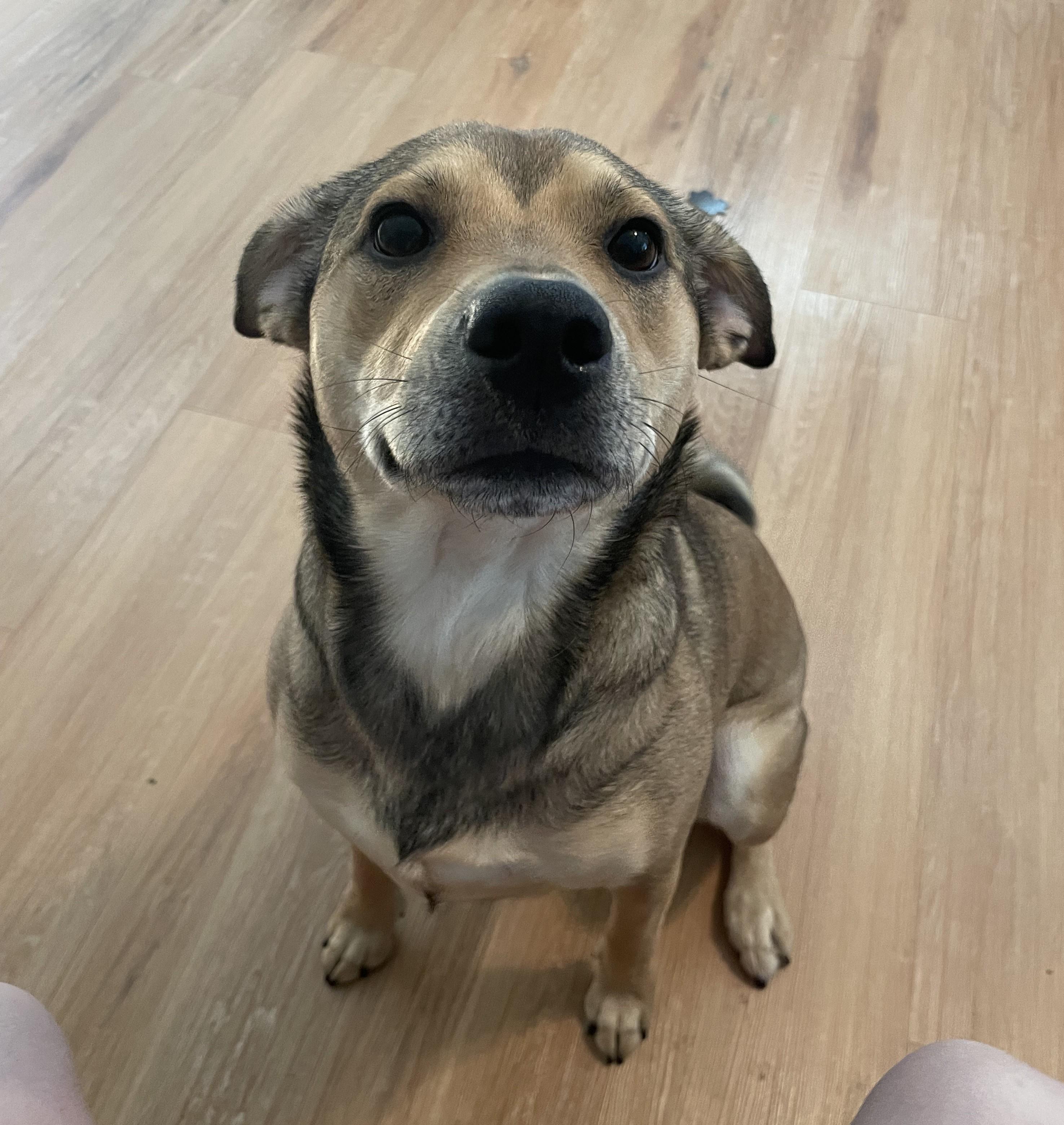 Zoey-San Diego, CA
