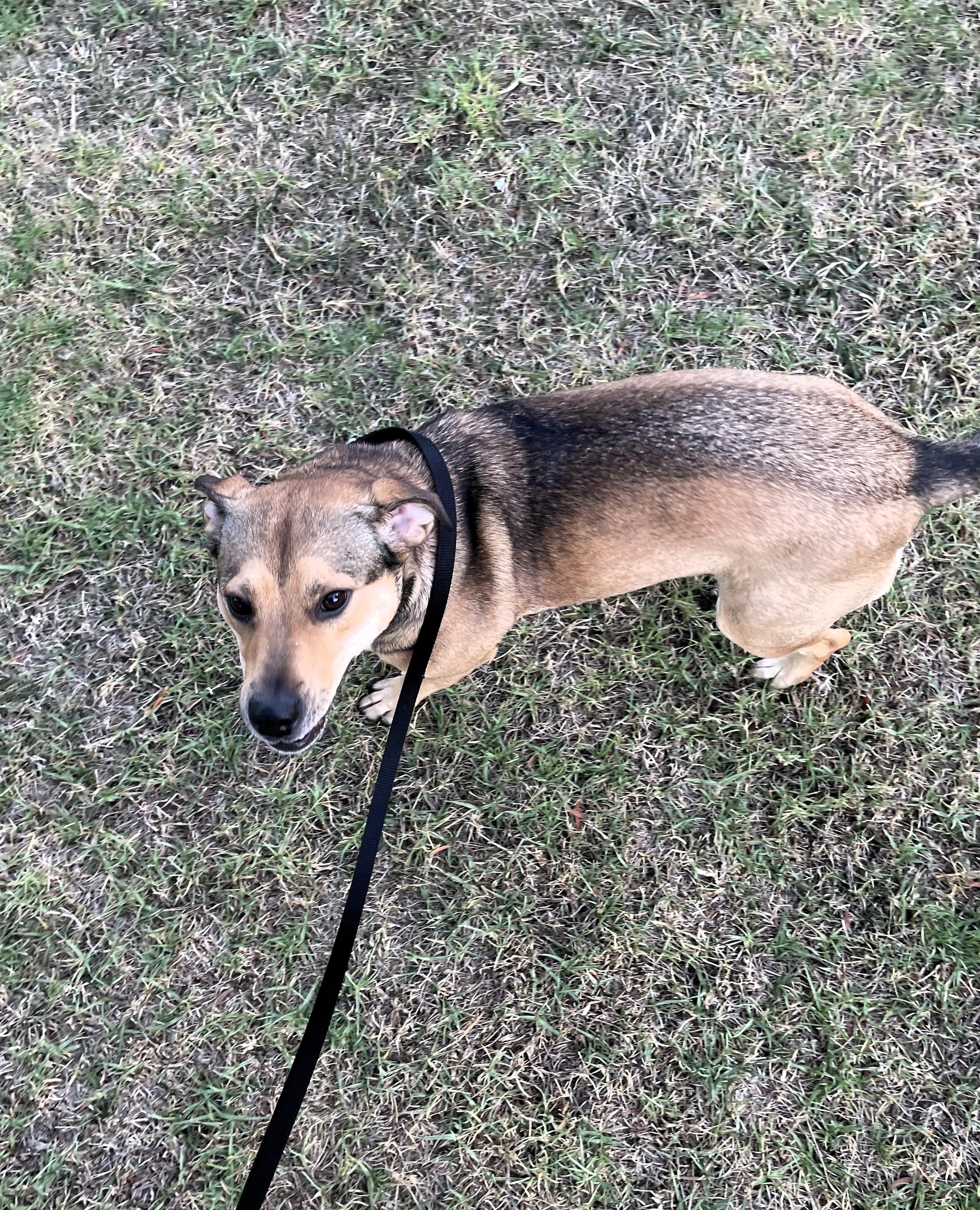 Zoey-San Diego, CA