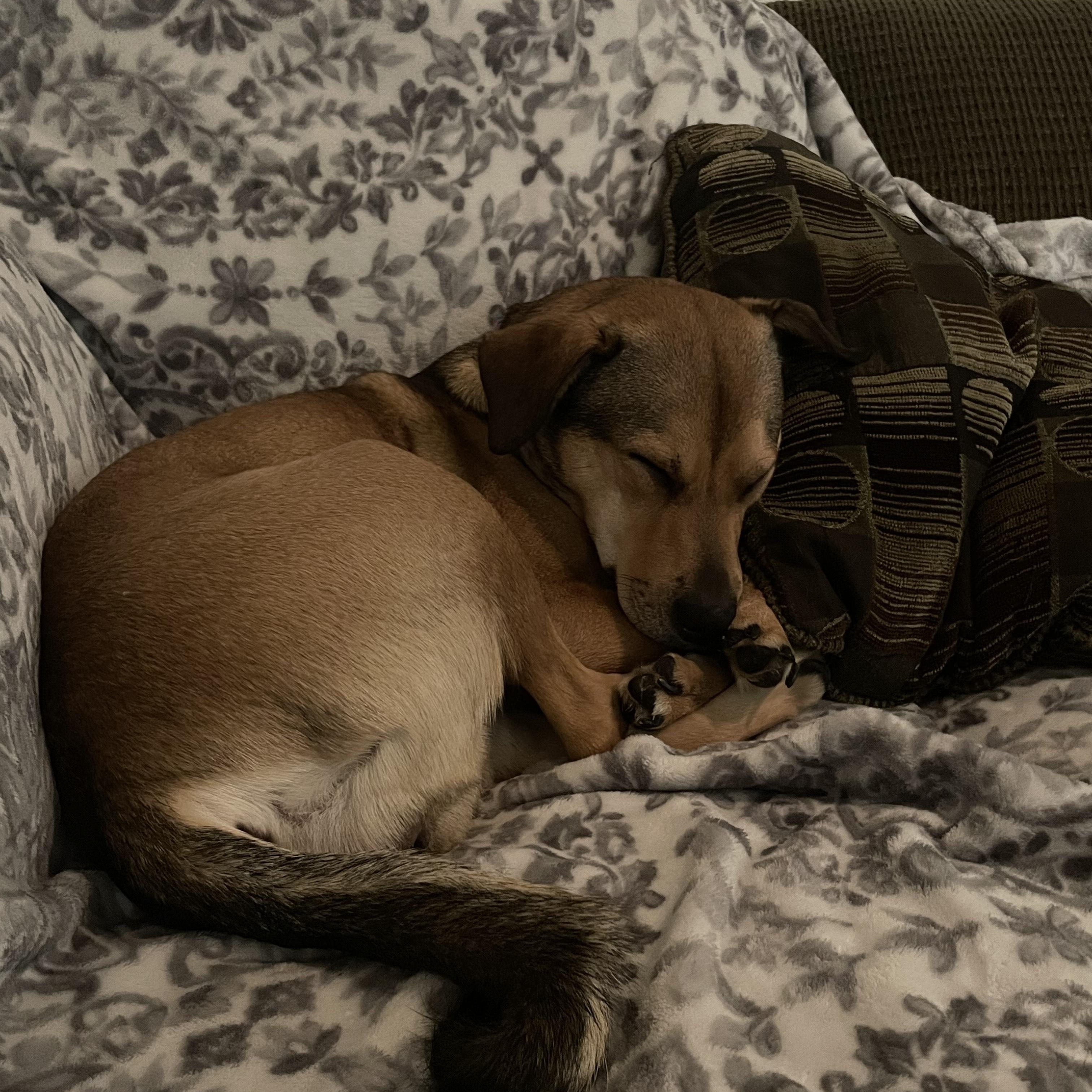 Zoey-San Diego, CA