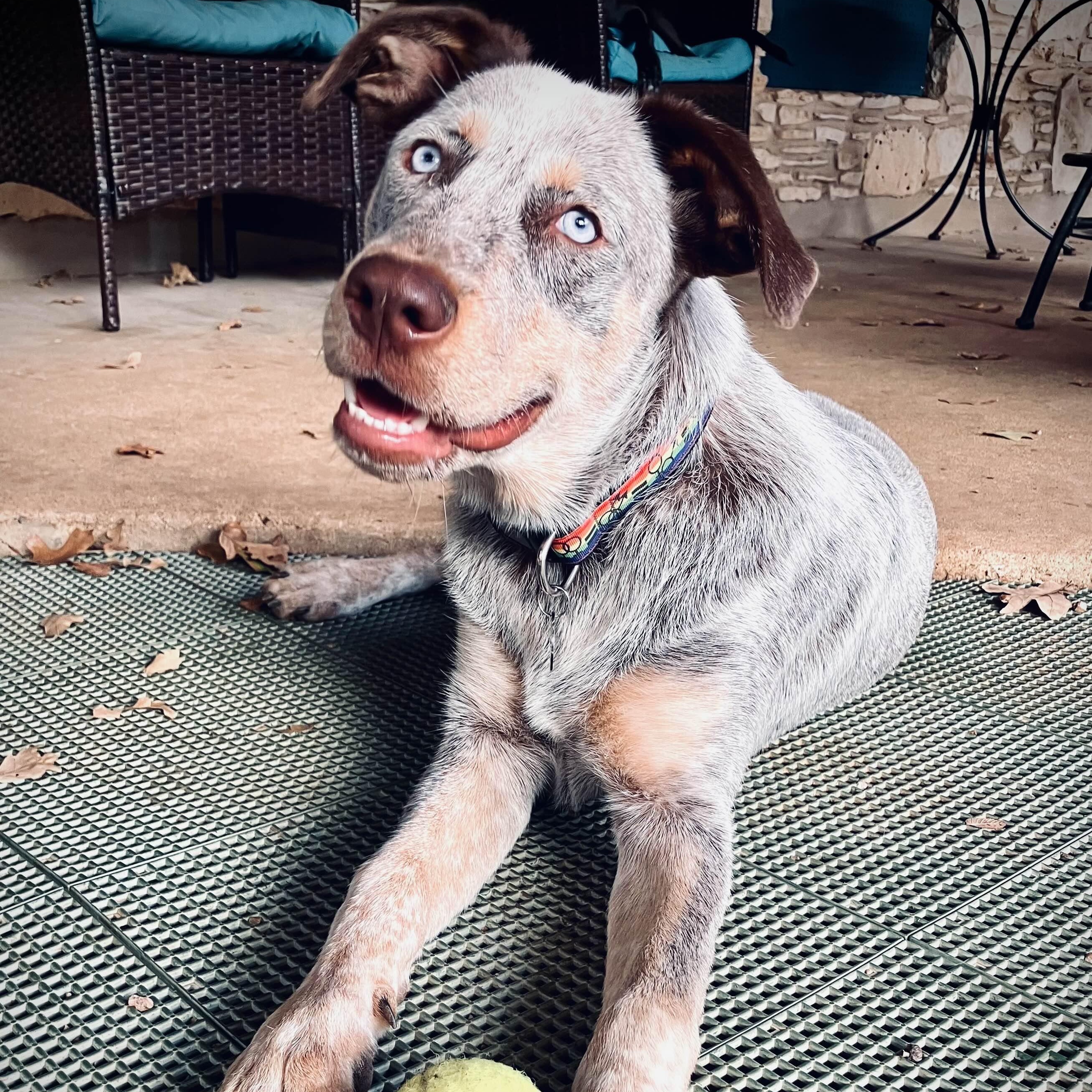 Murphy