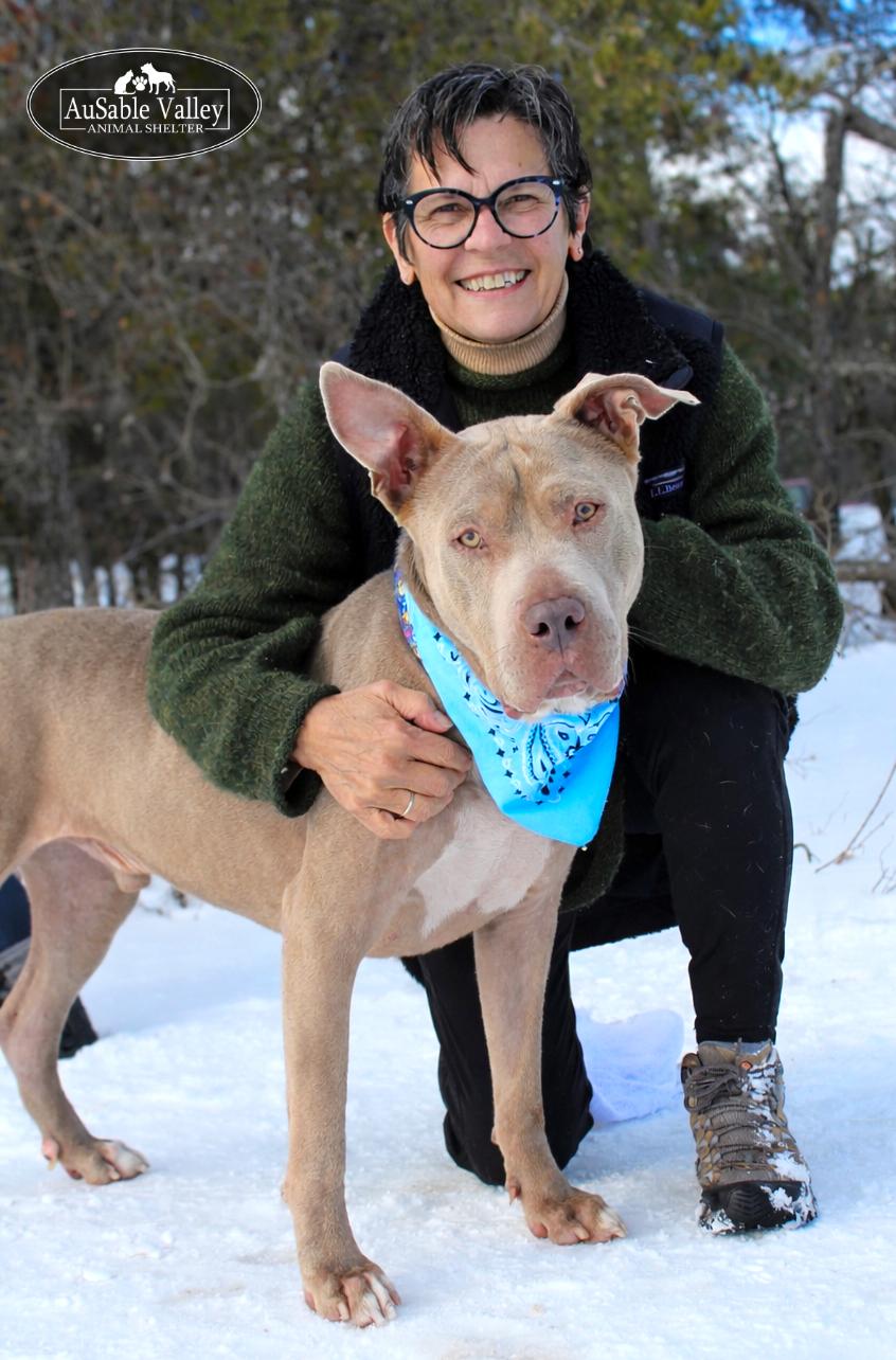 Mundo, a ADOPTABLE Mixed Breed in Grayling, MI image 3/6