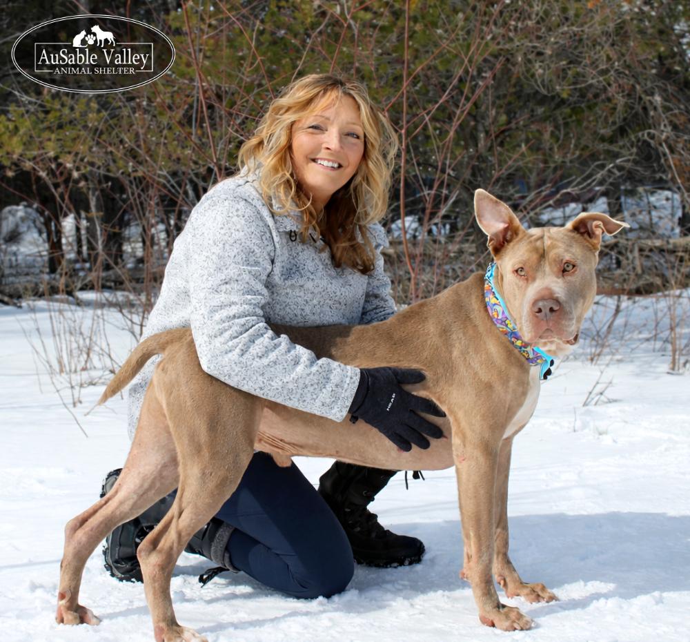 Mundo, a ADOPTABLE Mixed Breed in Grayling, MI image 6/6