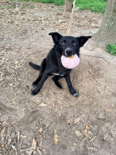 Angel — thumbnail 3