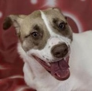 Amara (Mary) — thumbnail 3