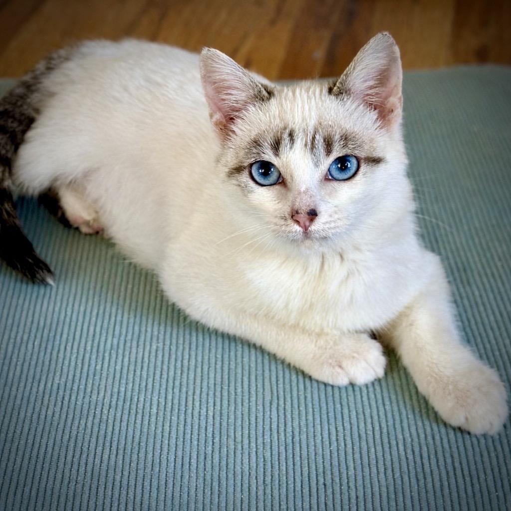 Quicksilver — thumbnail 5