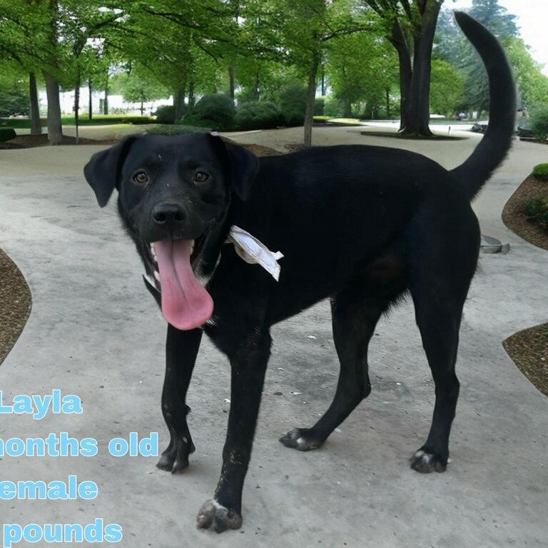 Layla photo 3