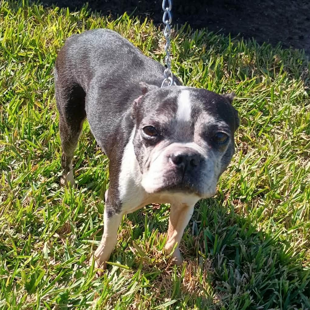 Zara — thumbnail 2