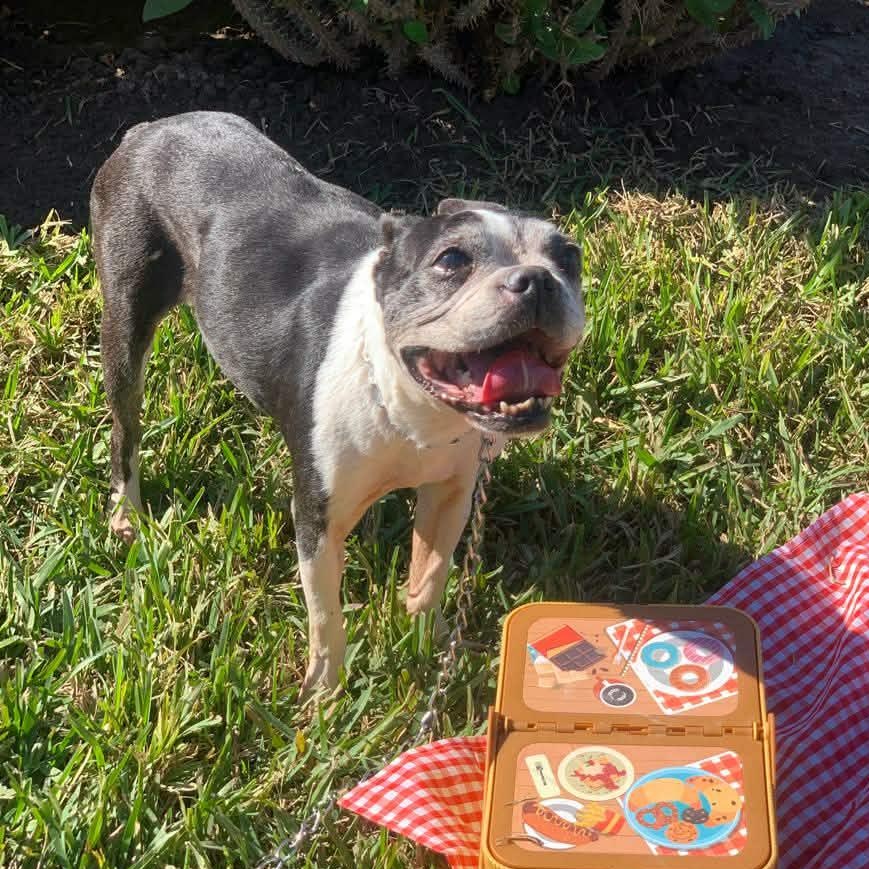 Zara — thumbnail 4