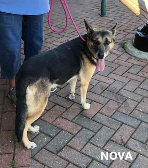 Nova