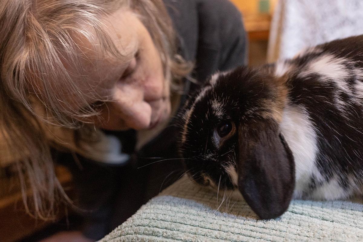 Buckwheat (bonded to her mom GusGus), a Adoptable Mini Lop in Carnation, WA image 3/3