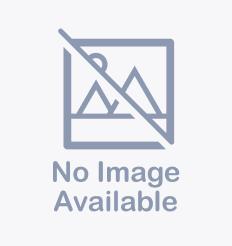 RIFF, Adoptable, Young Male Domestic Short Hair.