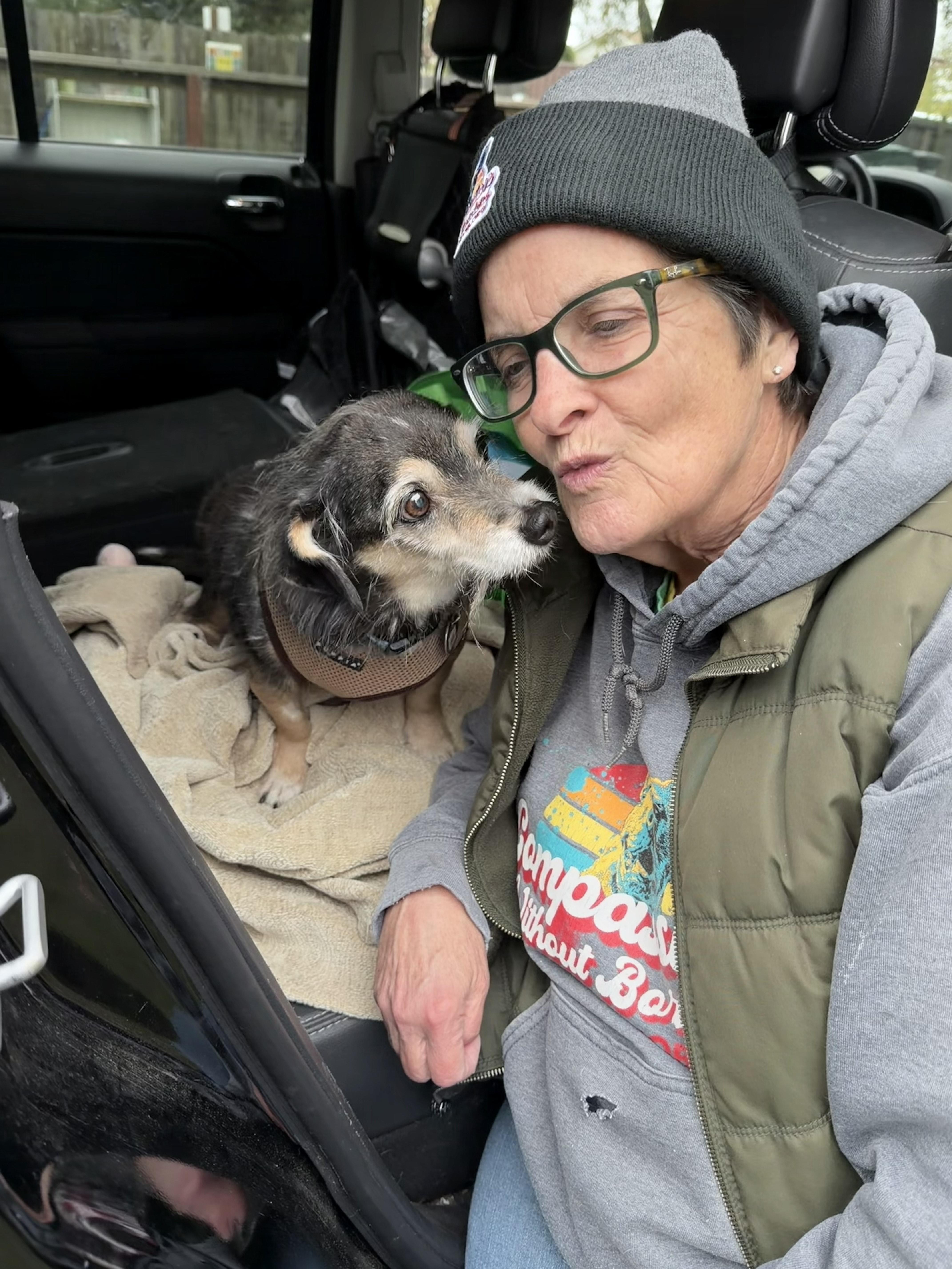 Enlarge Shifu, an adopted mixed breed in Santa Rosa, CA image 4/5
