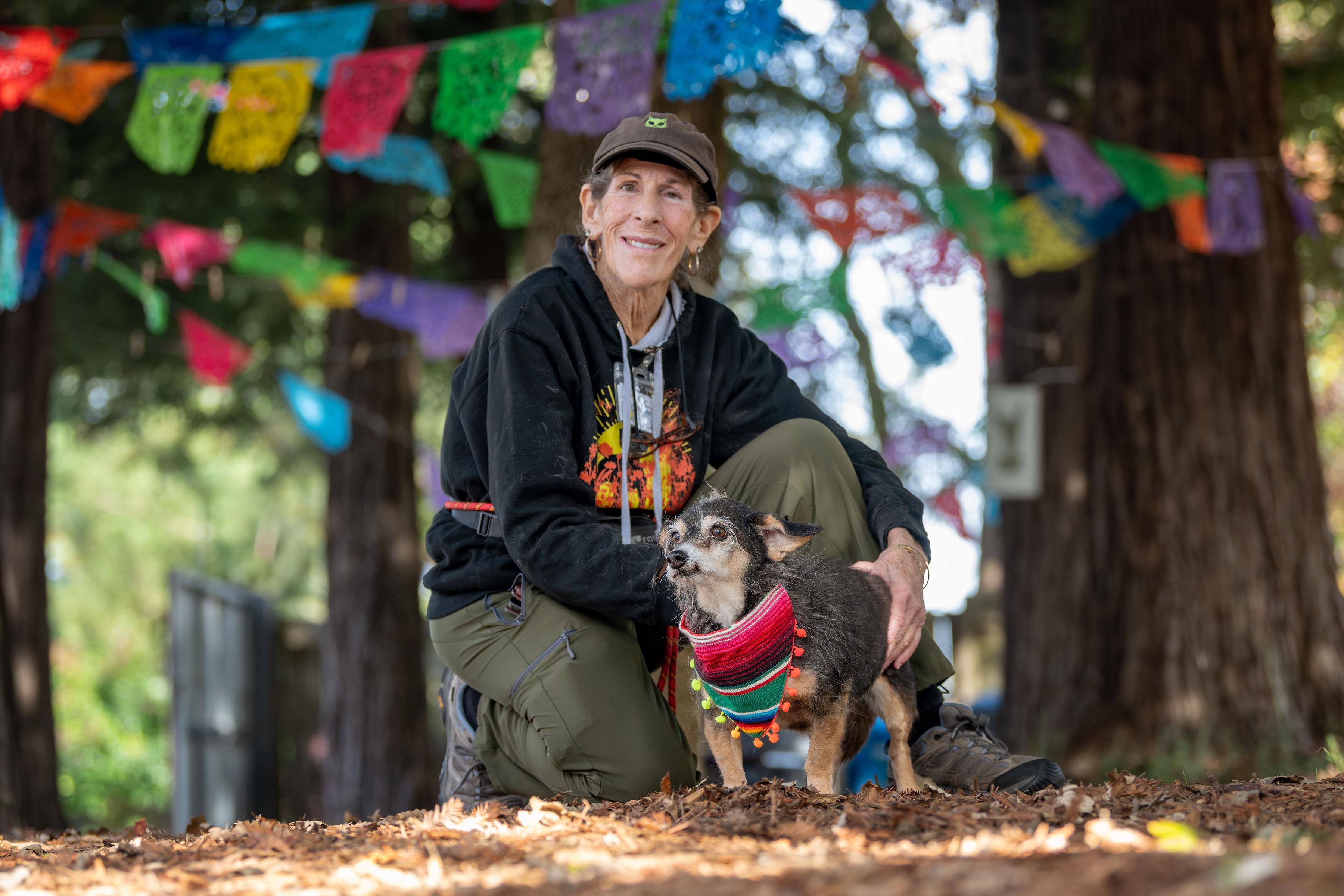 Enlarge Shifu, an adopted mixed breed in Santa Rosa, CA image 5/5