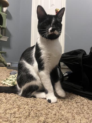 Batman — thumbnail 3