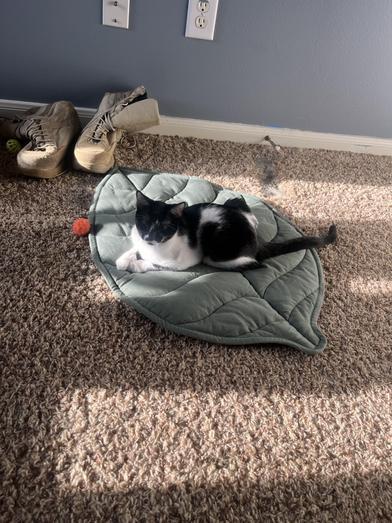 Batman — thumbnail 4