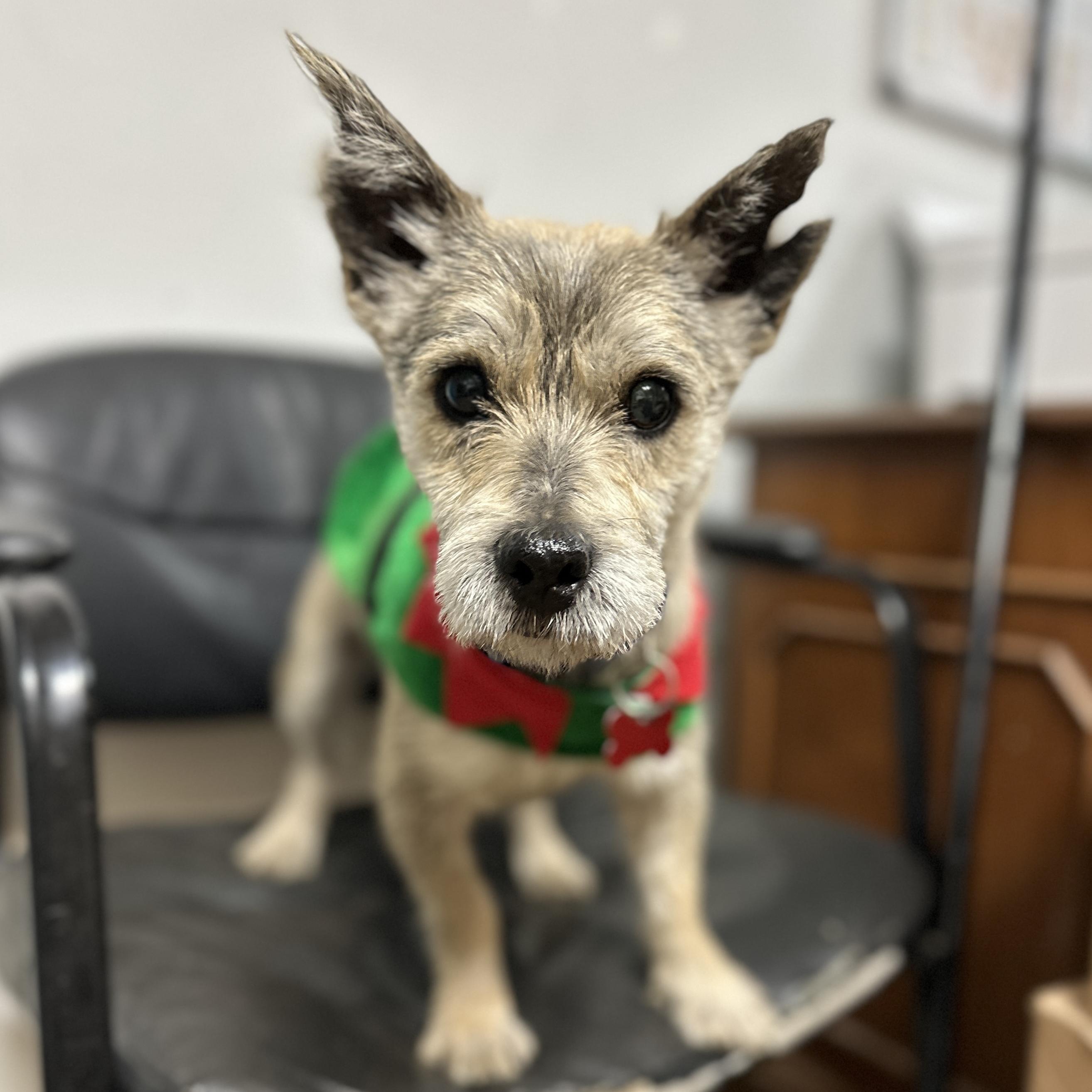 Bozeman — thumbnail 6